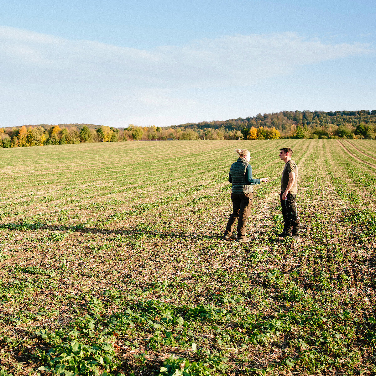 Two persons talking in a field