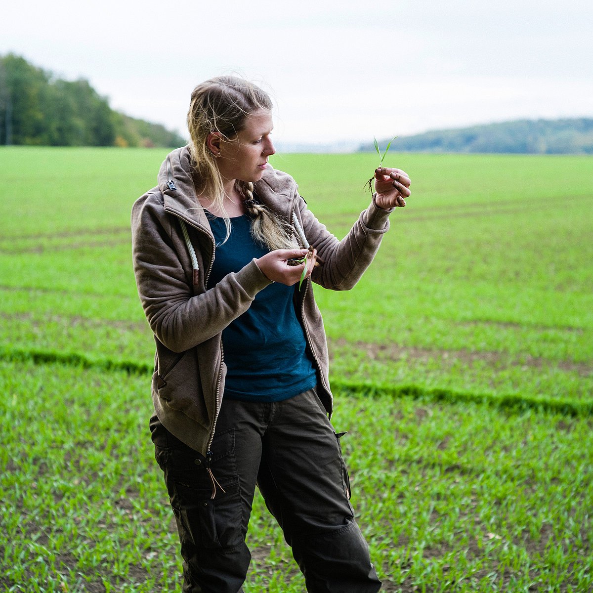 Woman standing in field and inspecting levered-out weed
